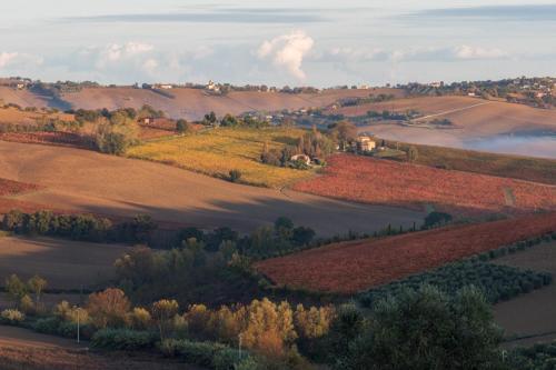 La Vita Nuova Morro d'Alba Ngoại thất bức ảnh